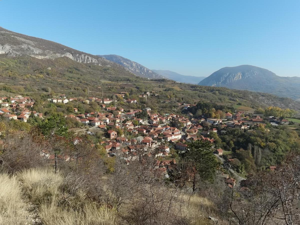 -guest House -ramonda Serbika Kır Evi *