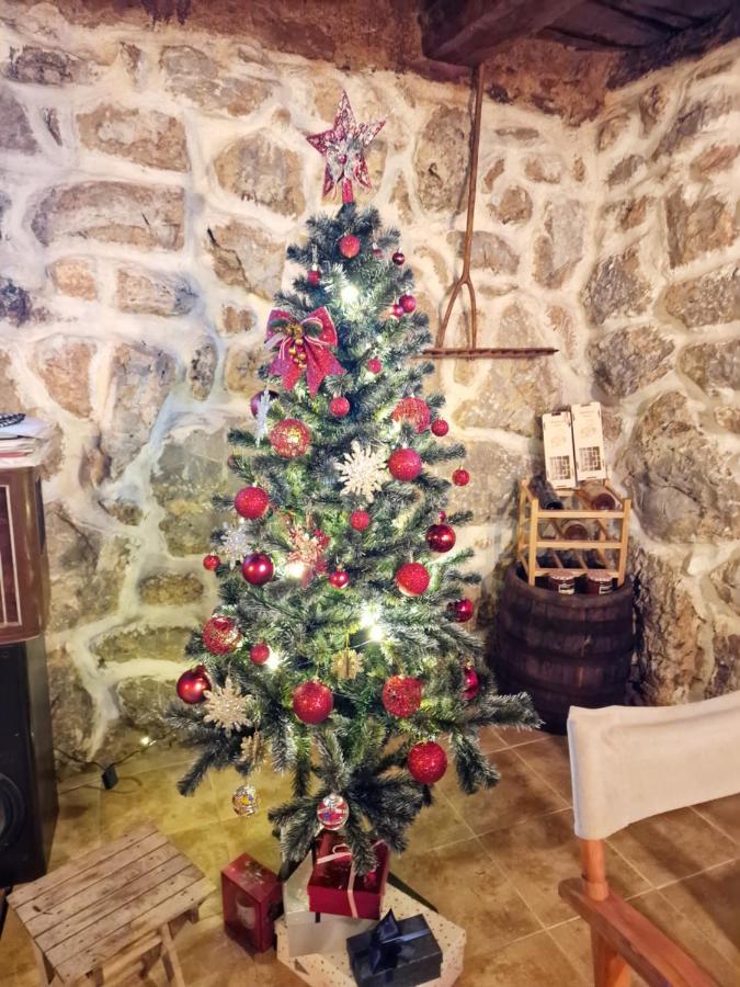 -guest House -ramonda Serbika