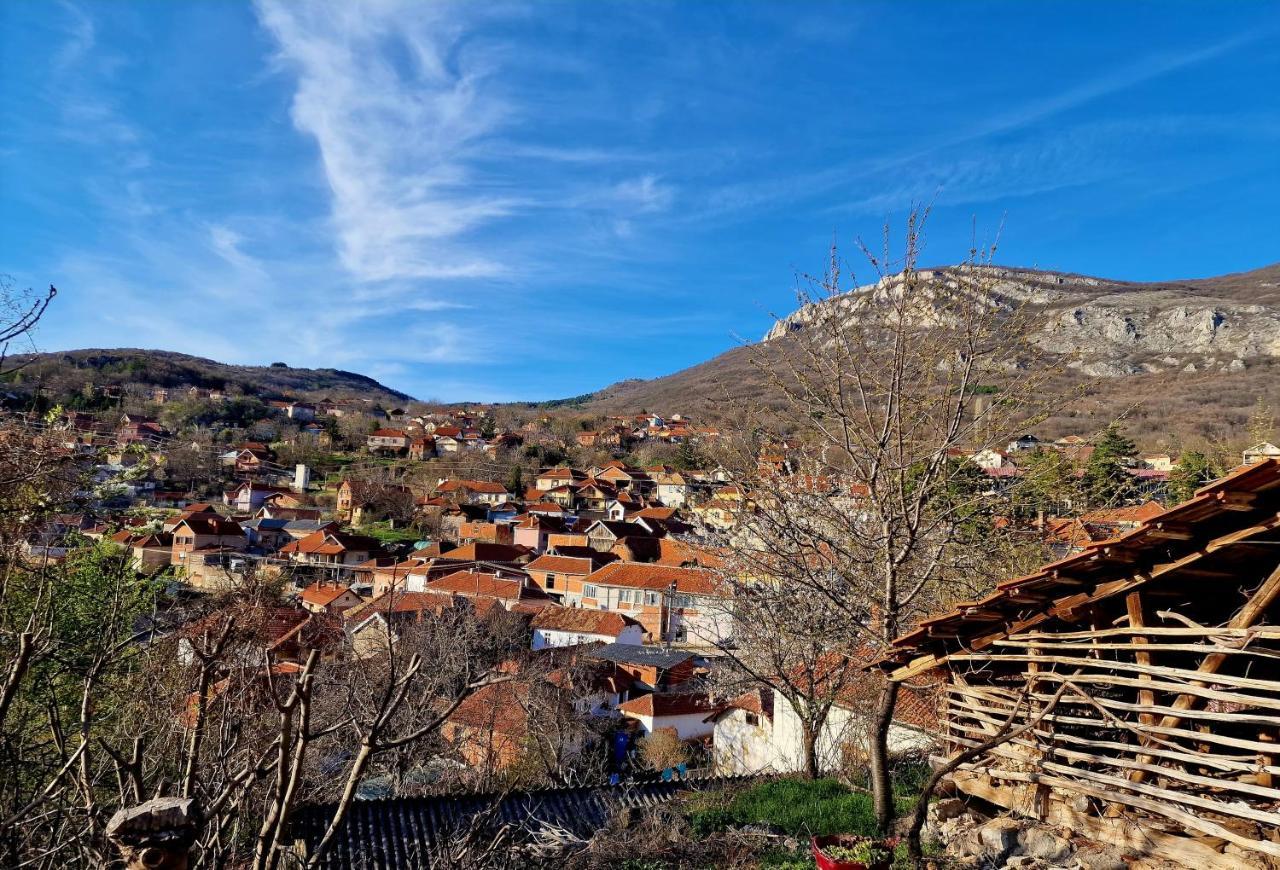 -guest House -ramonda Serbika Ni