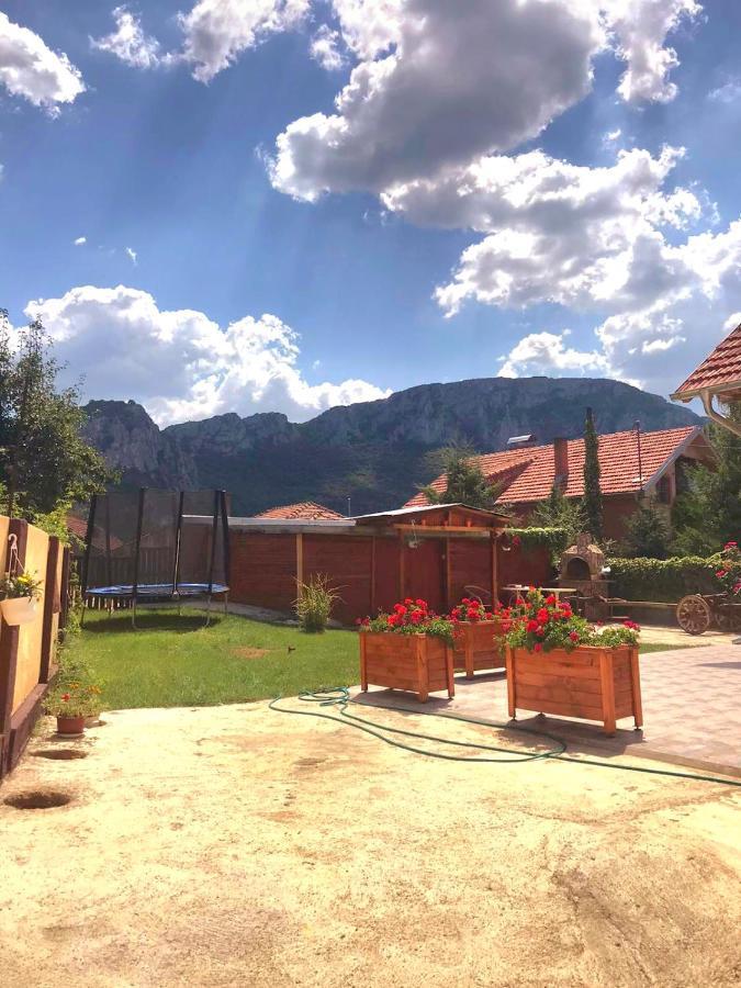 -guest House -ramonda Serbika Kır Evi
