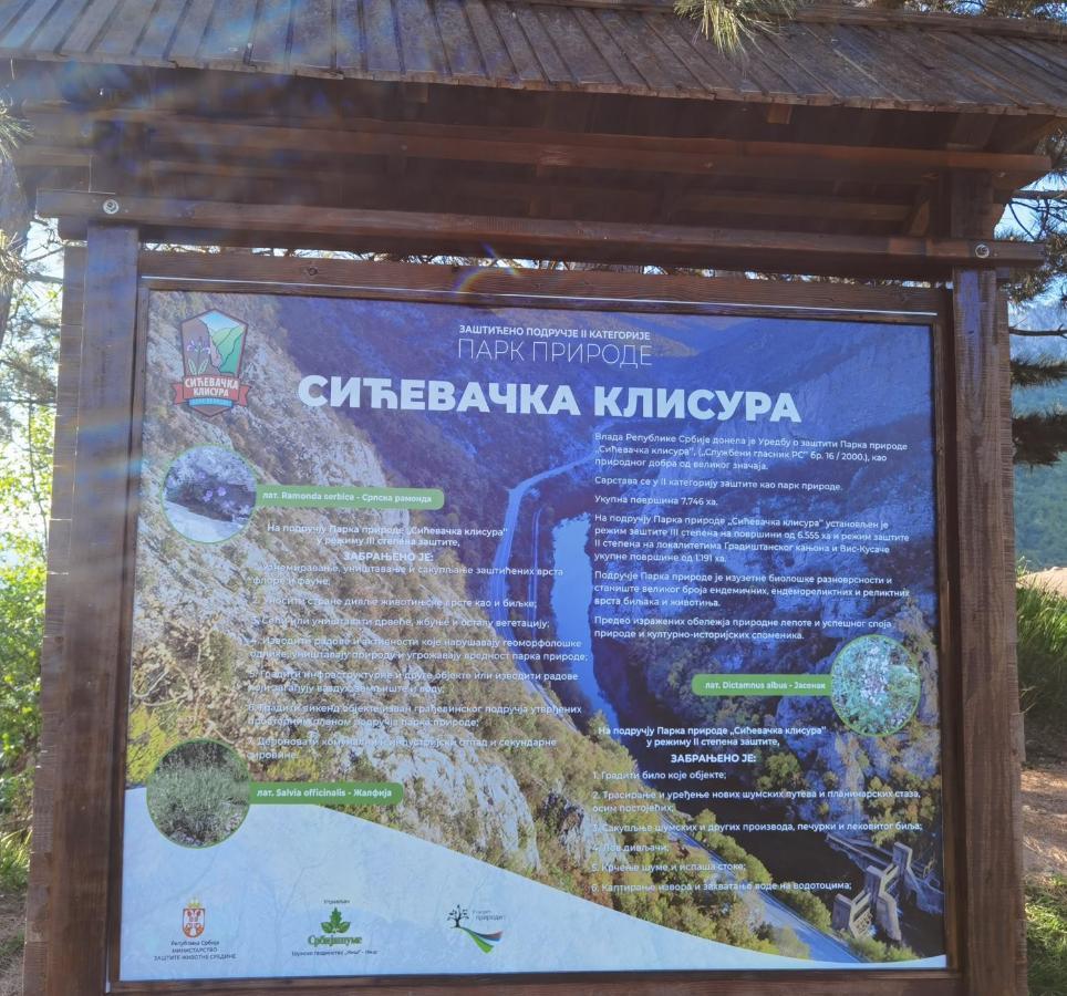 -guest House -ramonda Serbika